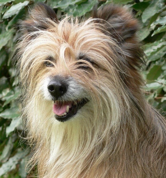 Jélina De la vallée du cognas des effruches