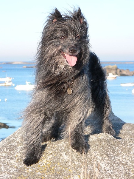 P'tit zef De La Pointe Du Diable